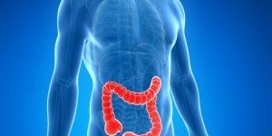 300x400xcolonics-3-300×400.jpg.pagespeed.ic.0ZpJVkTUbh