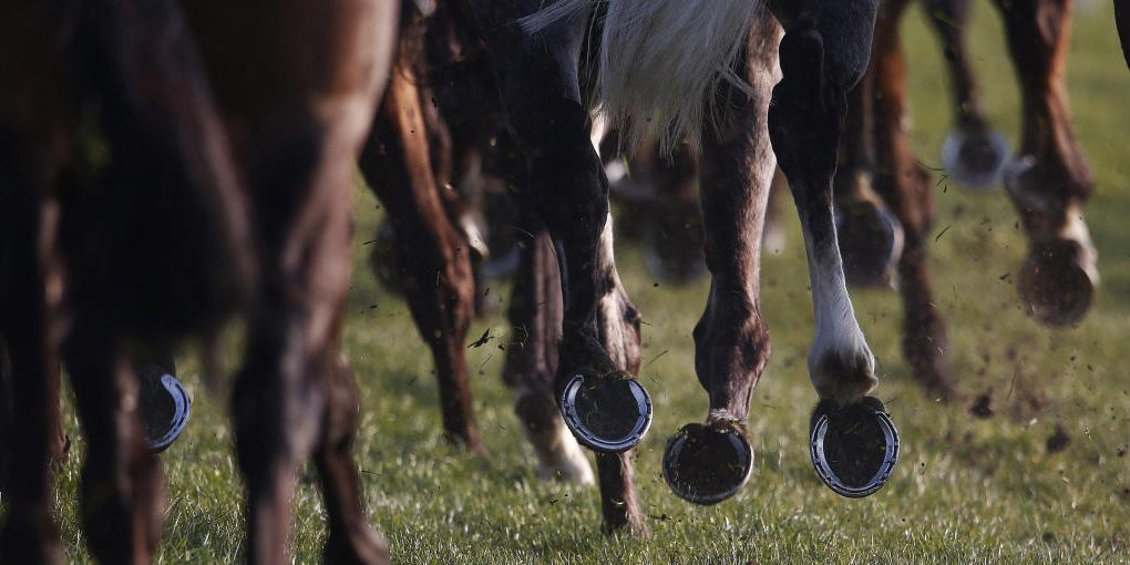 Caballos y empresario